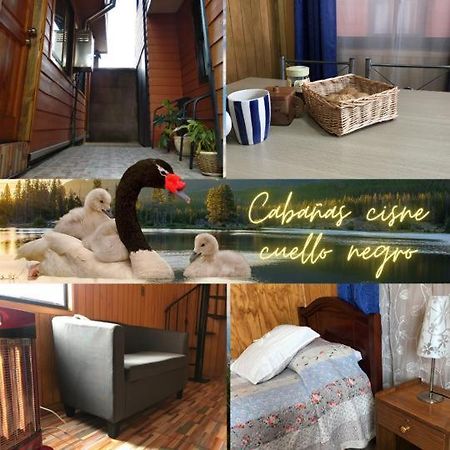 Cabanas Cisne Cuello Negro Apartment บัลดิเบีย ภายนอก รูปภาพ