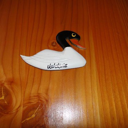 Cabanas Cisne Cuello Negro Apartment บัลดิเบีย ภายนอก รูปภาพ